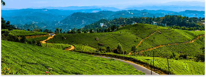 Munnar Kerala - Best Place to visit in April - Full Moon Holidays